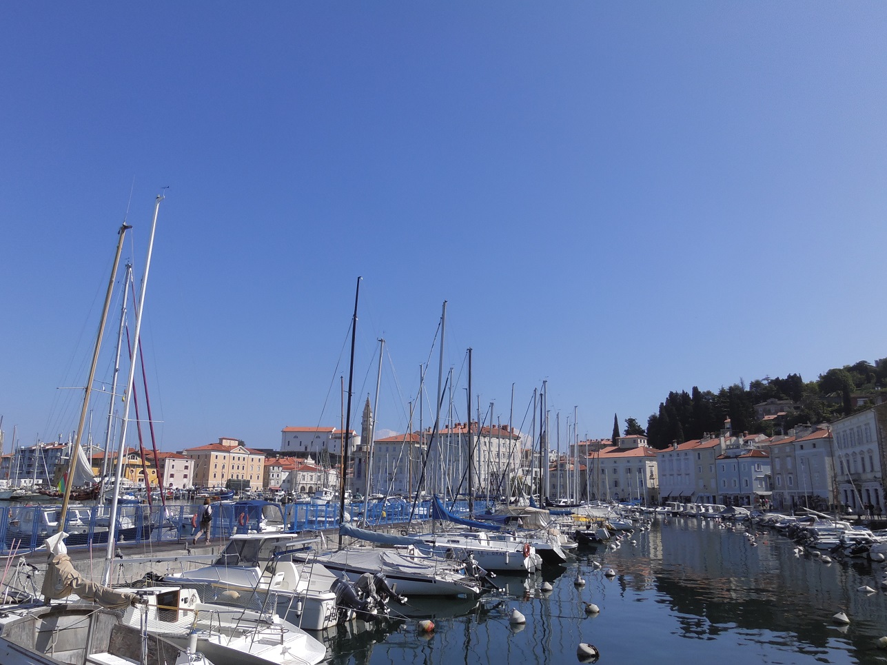 piran1.jpg