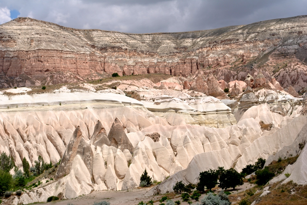 DSC_0552.JPG