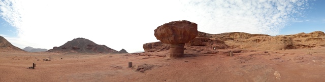 20170120_100911.jpg
