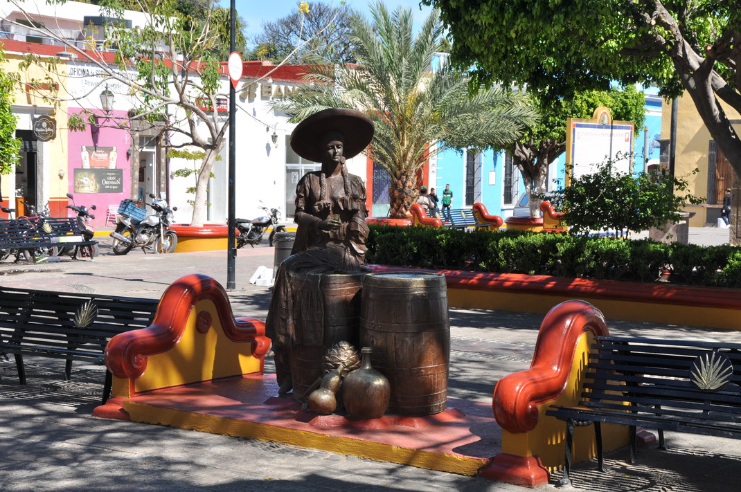 DSC_0218.jpg
