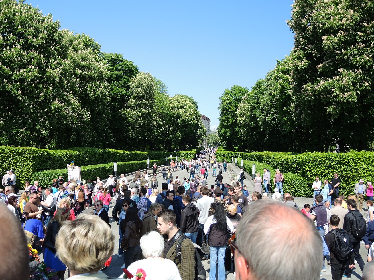 DSCN7597.JPG
