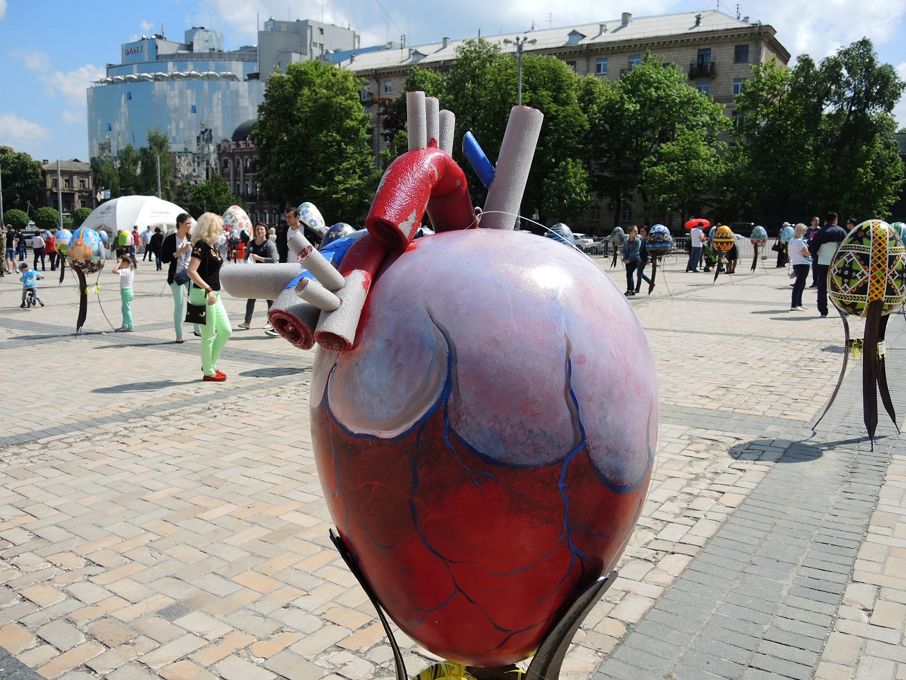 DSCN7696.JPG