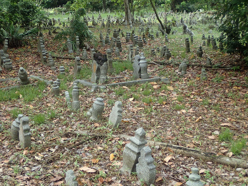 6.JPG