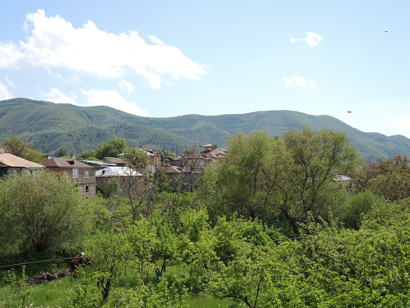 DSCN8225.JPG