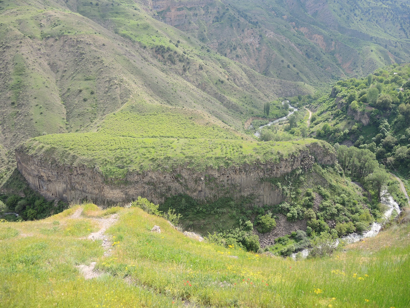 DSCN8252.JPG