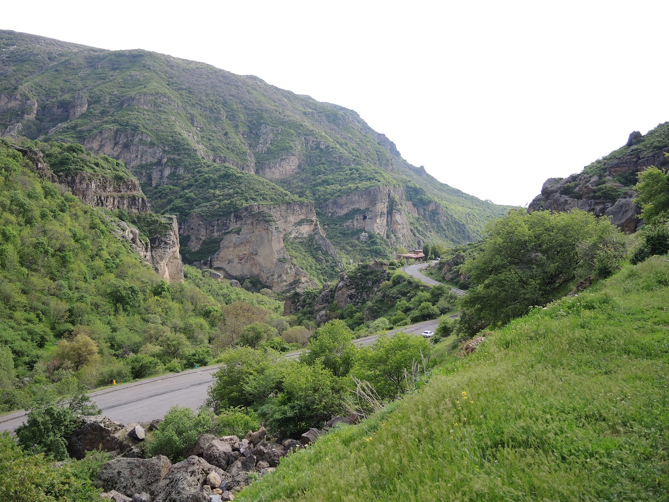 DSCN8308.JPG
