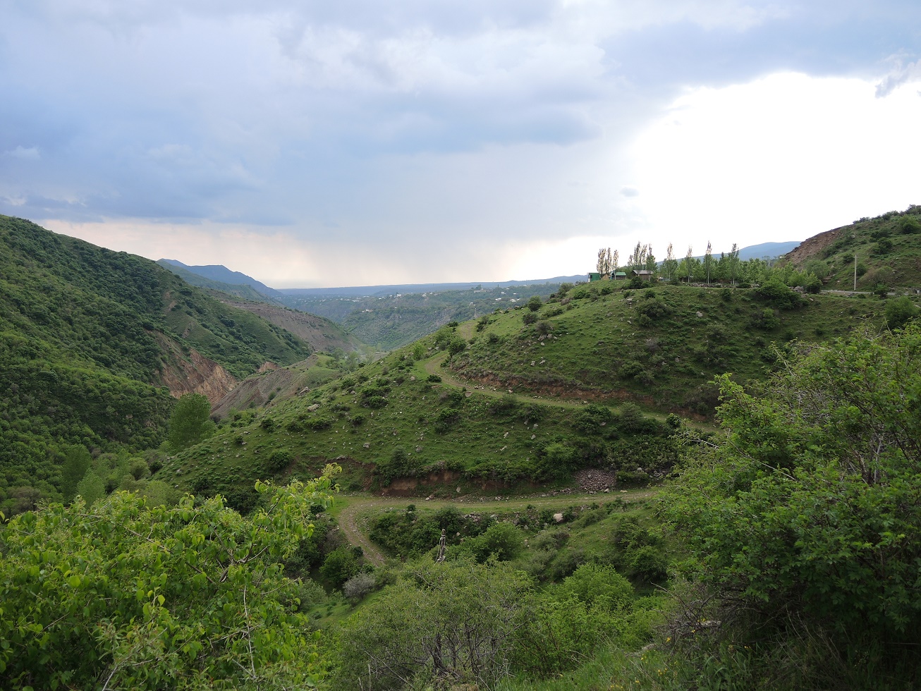 DSCN8414.JPG