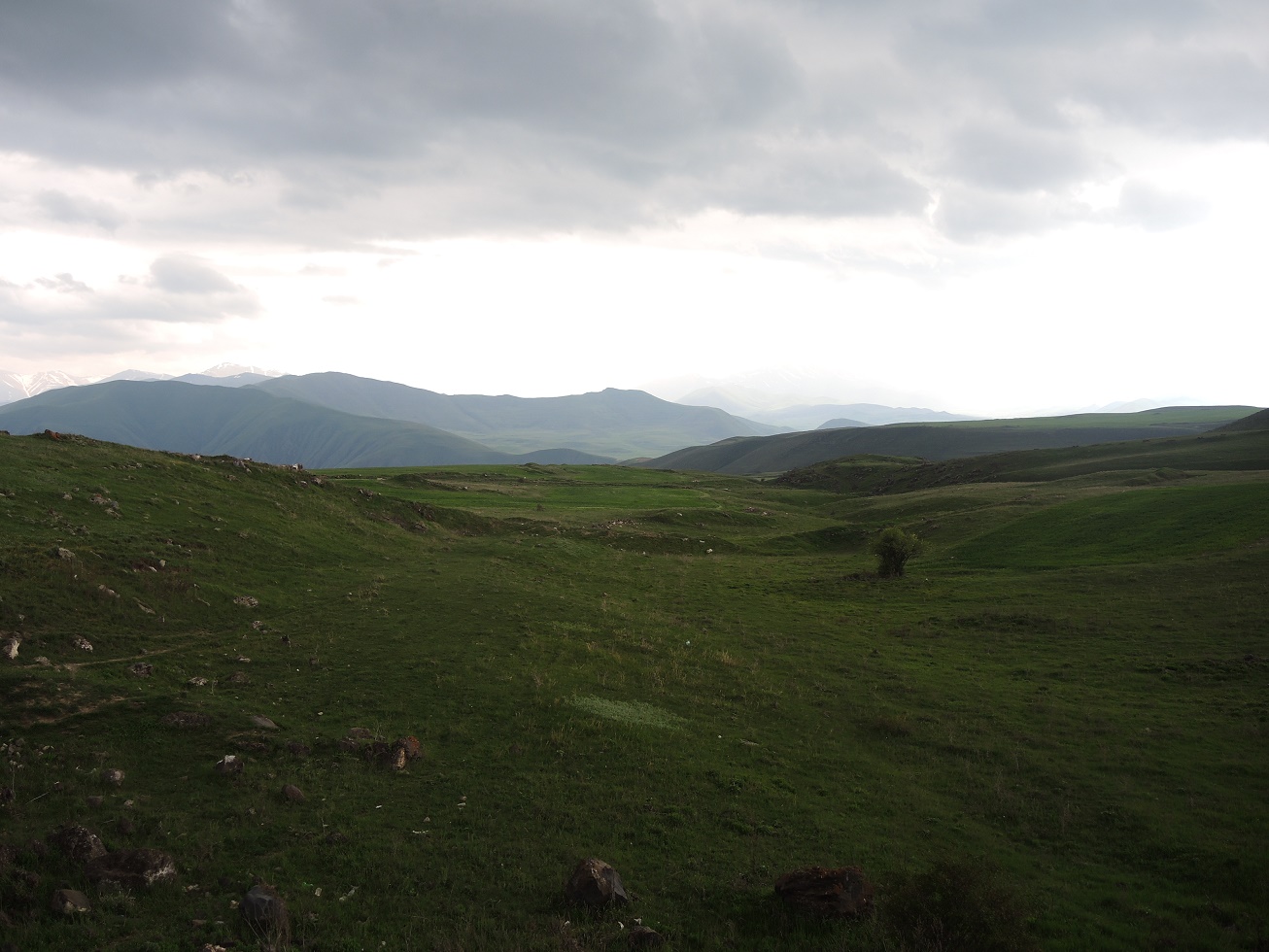 DSCN8473.JPG