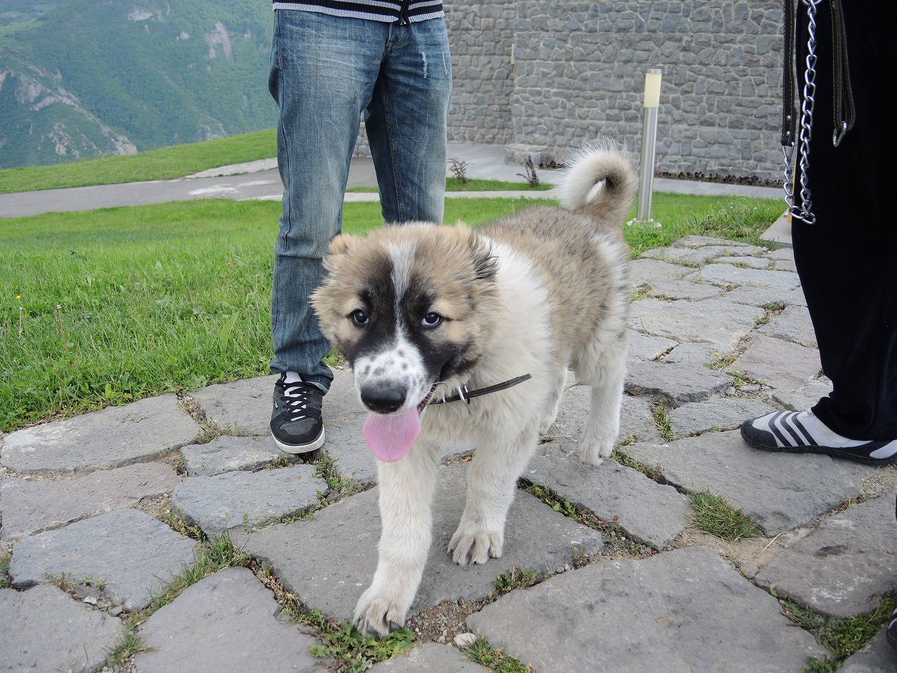 DSCN8497.JPG