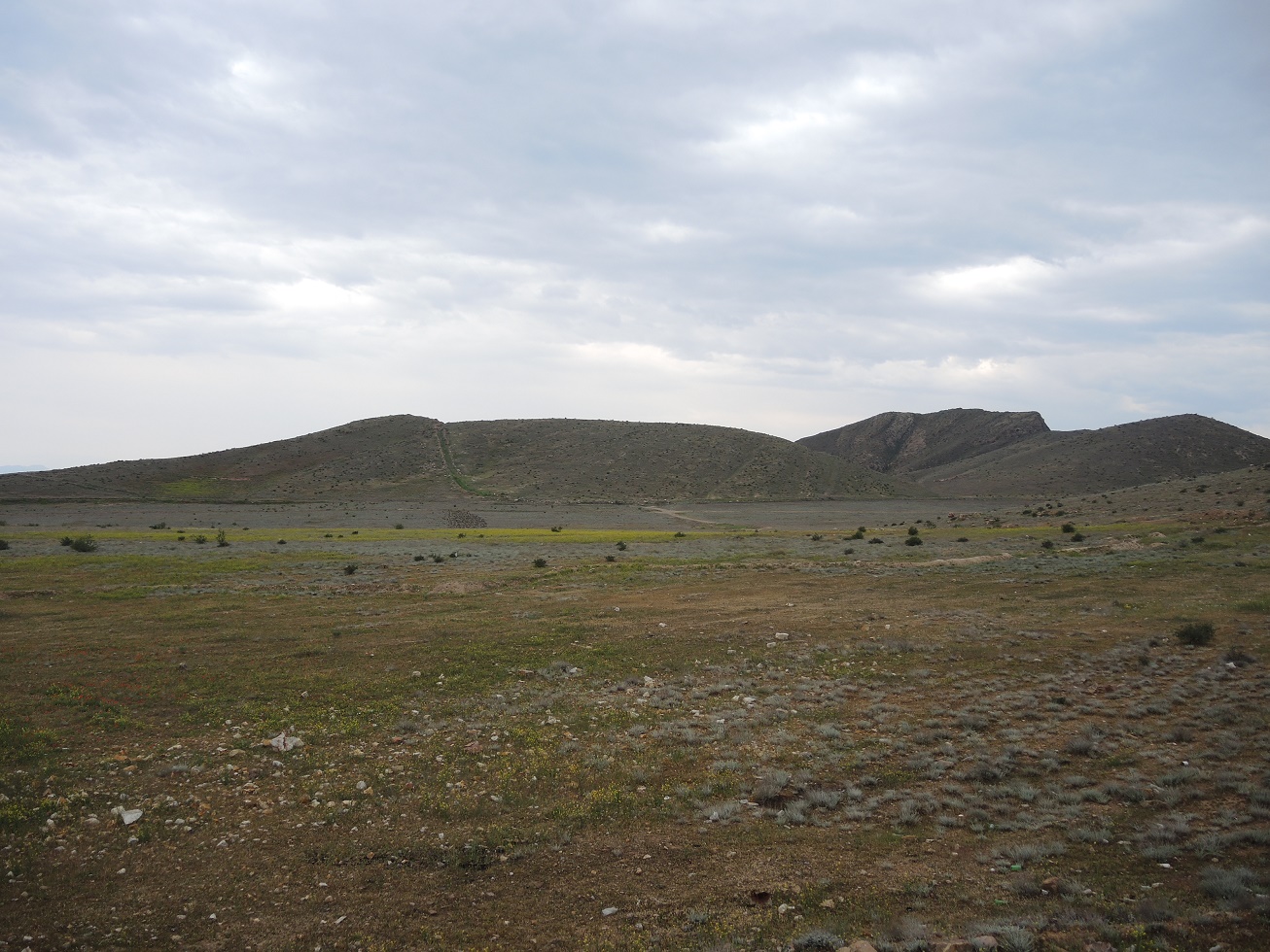 DSCN8442.JPG