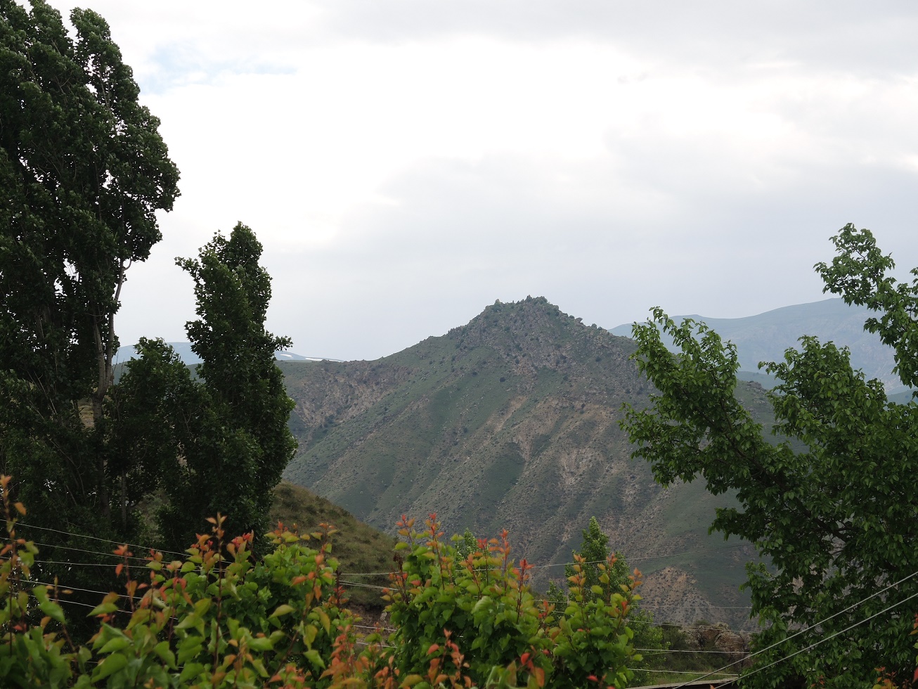 DSCN8469.JPG