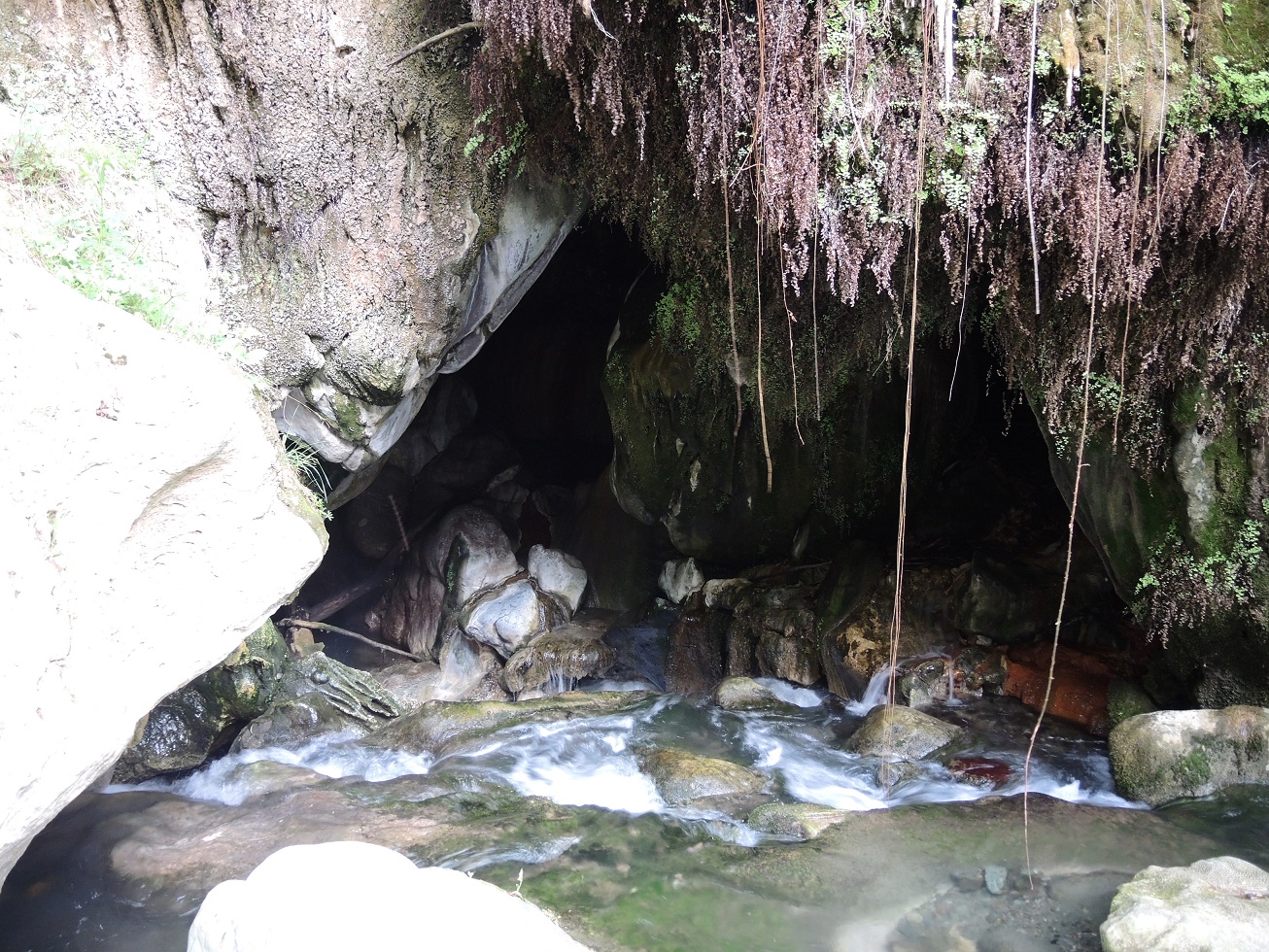 DSCN8647.JPG