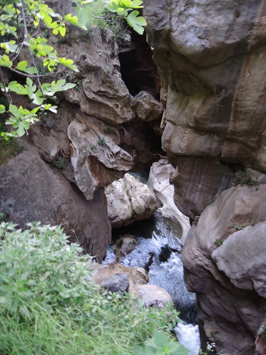 DSCN8644.JPG