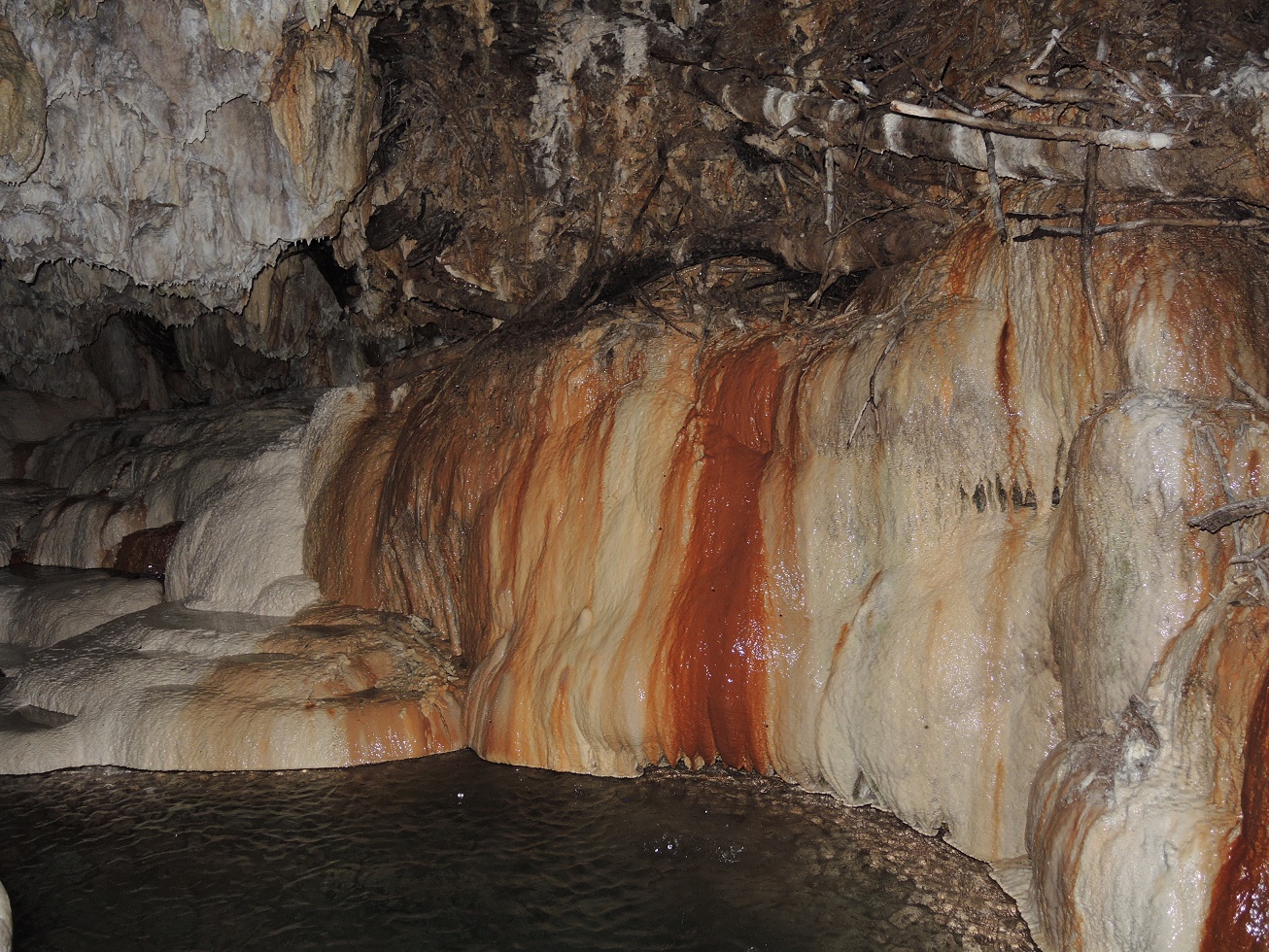 DSCN8649.JPG