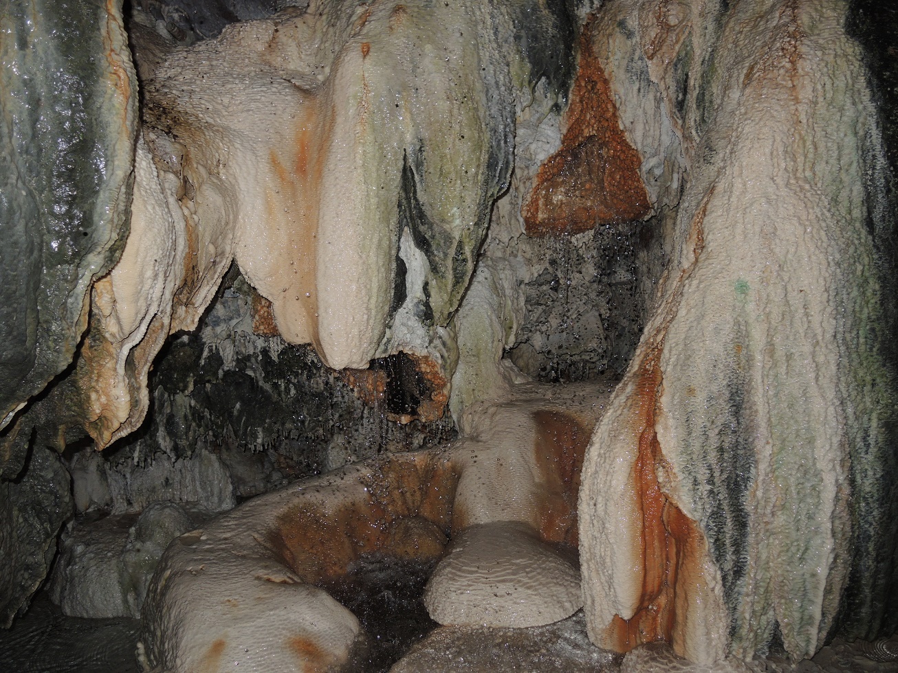 DSCN8659.JPG