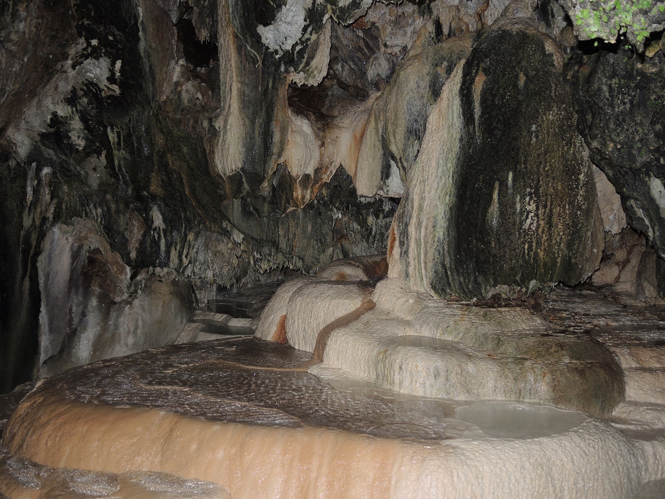 DSCN8665.JPG
