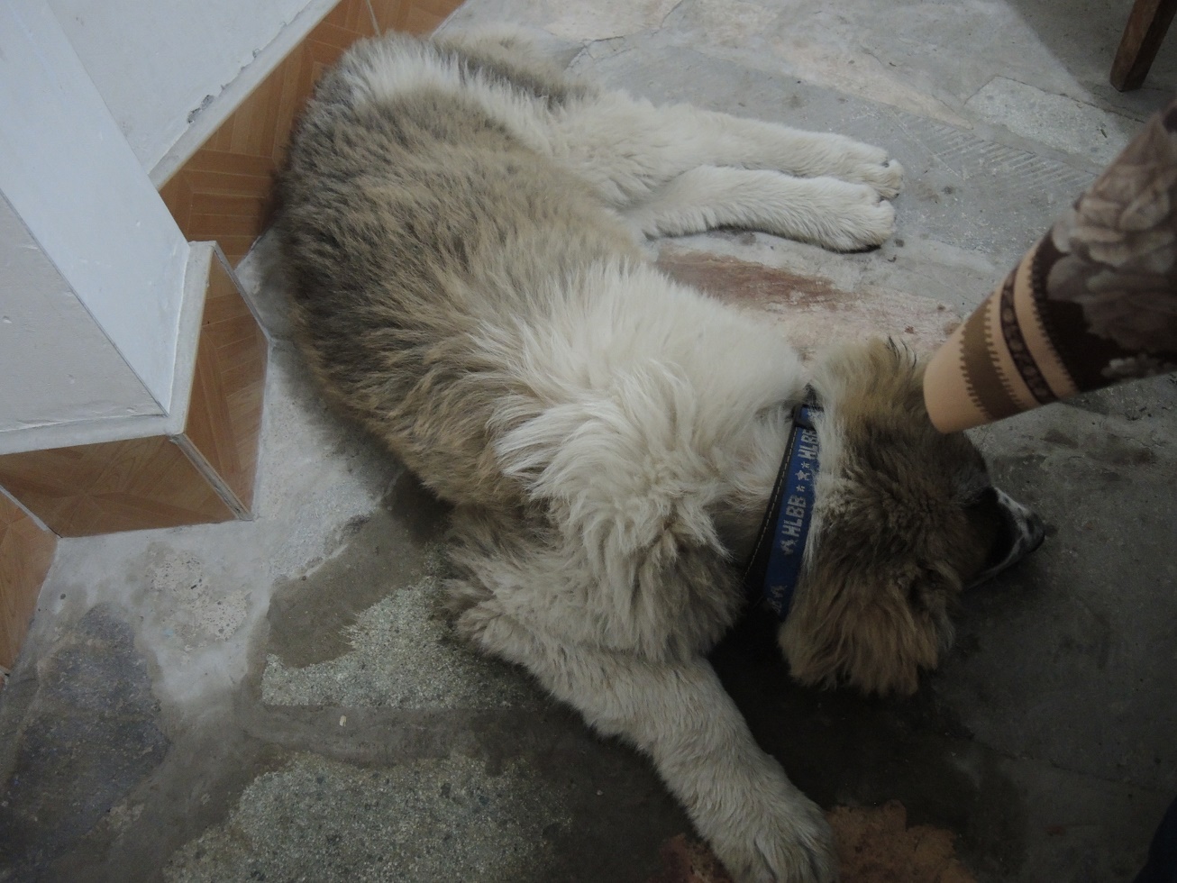 DSCN8765.JPG