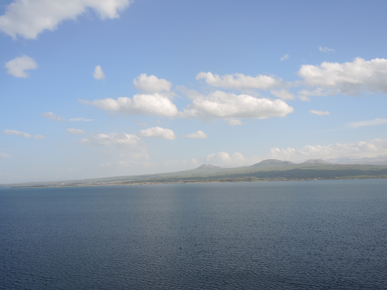 DSCN8794.JPG