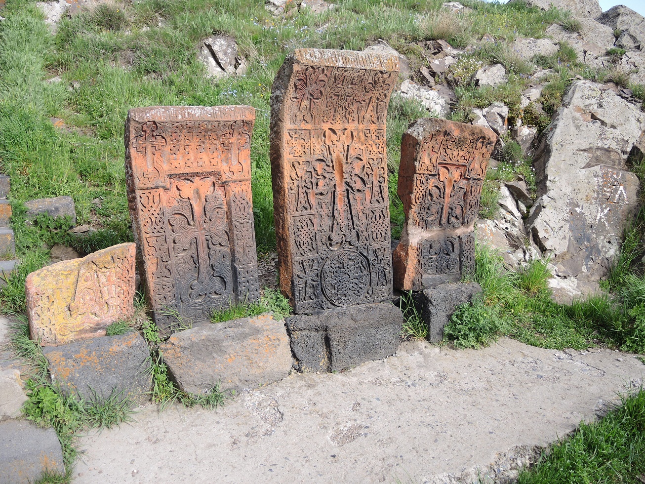 DSCN8781.JPG