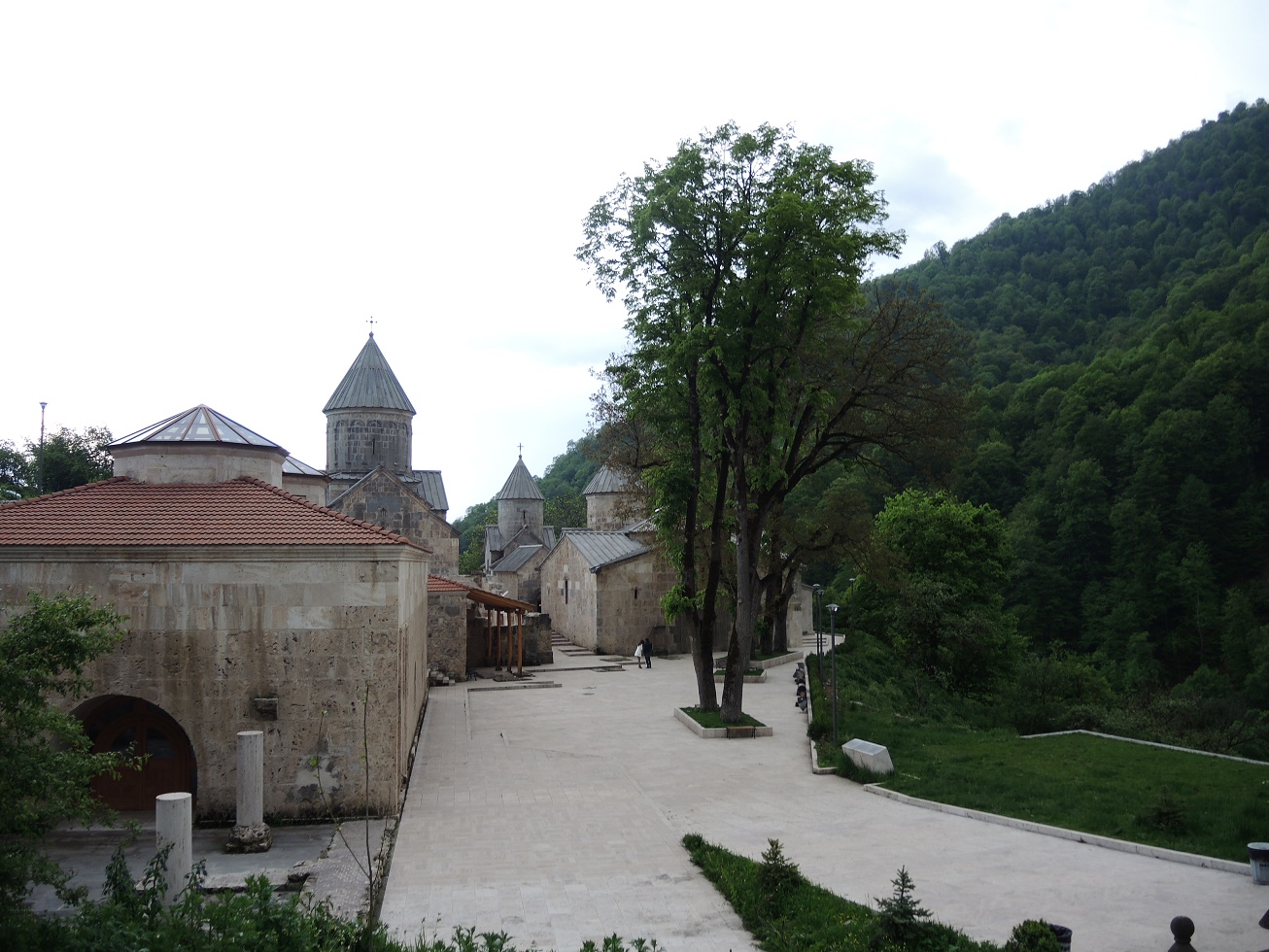 DSCN8871.JPG