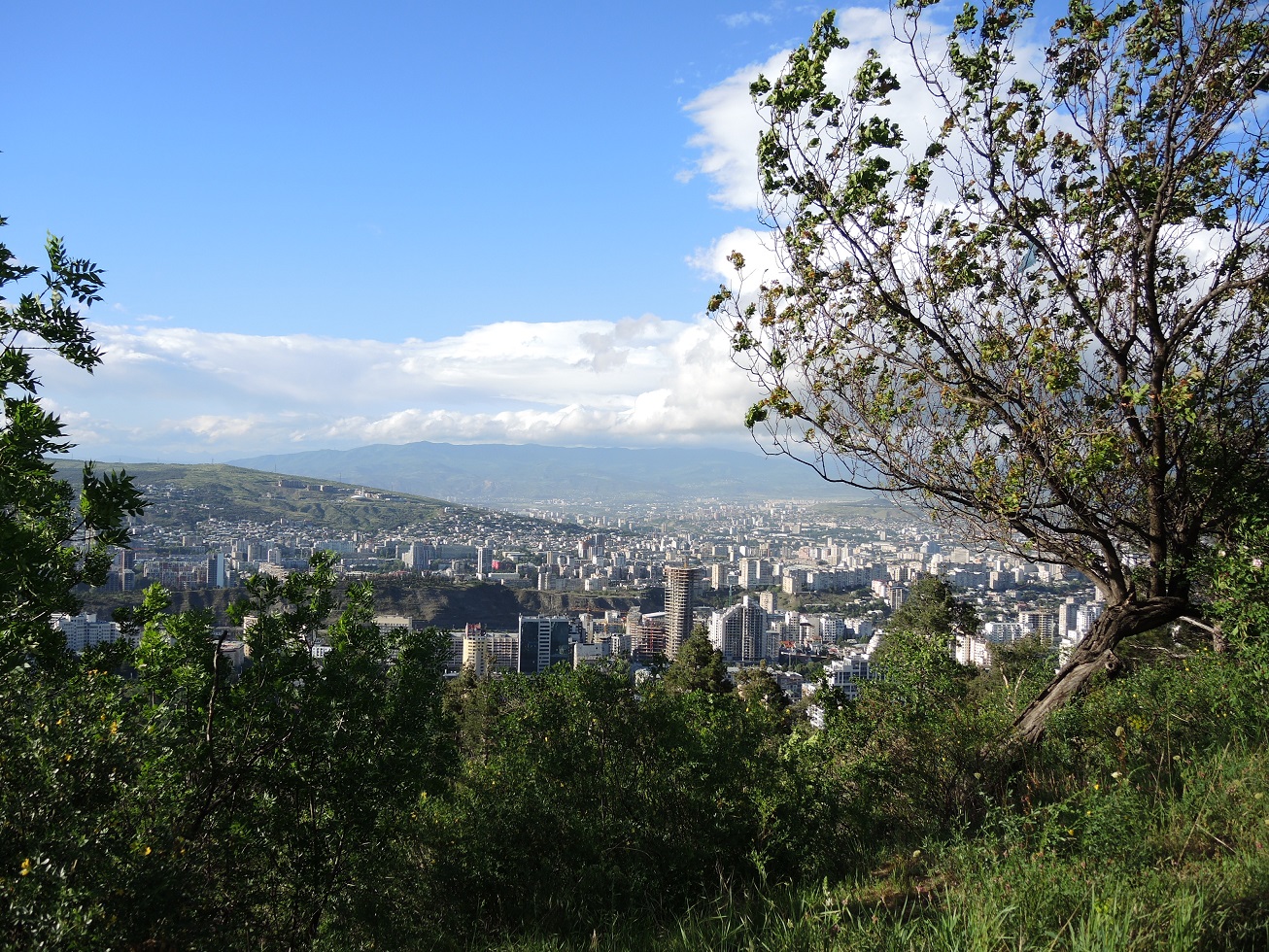 DSCN9219.JPG