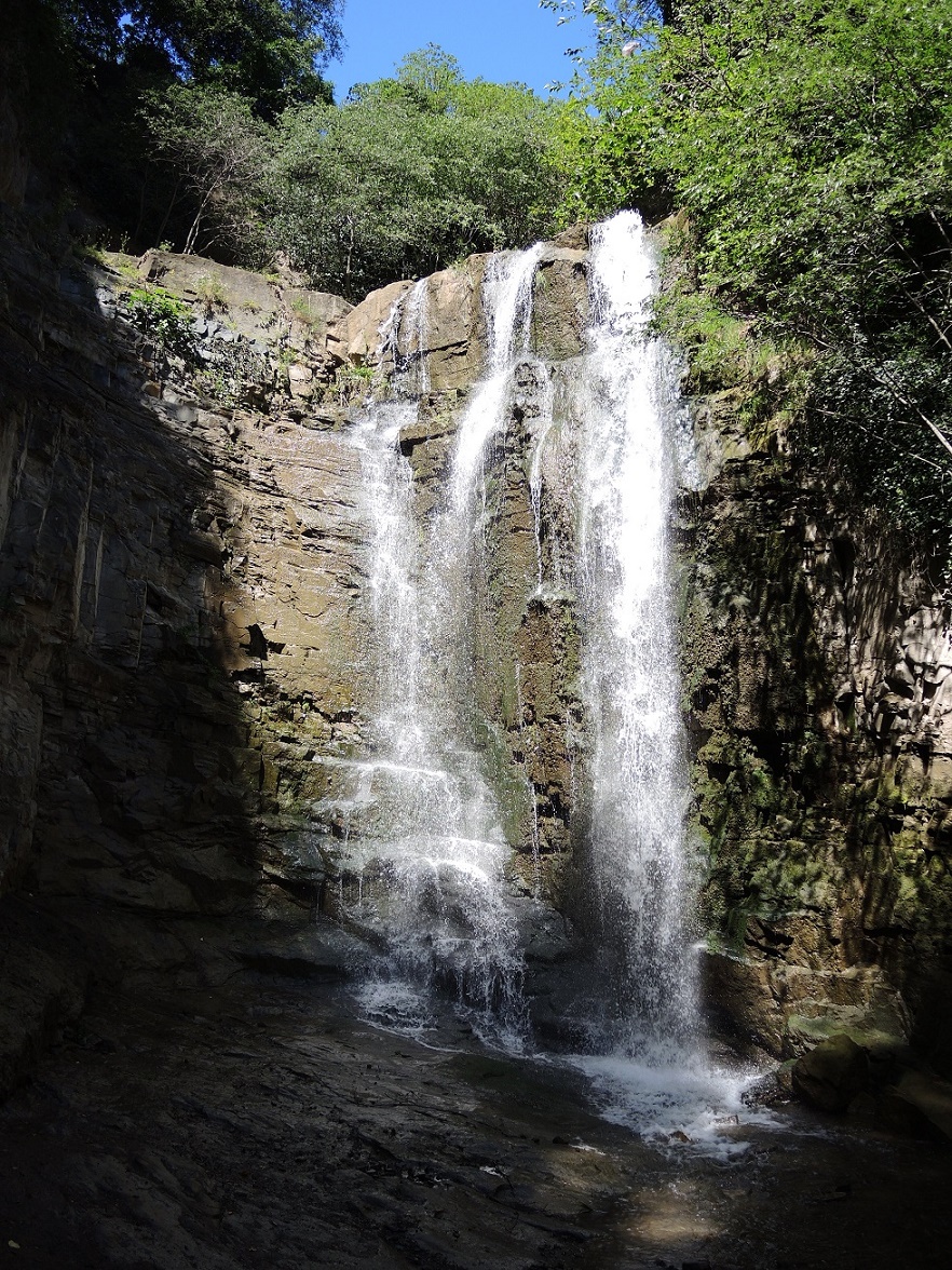 DSCN9302.JPG