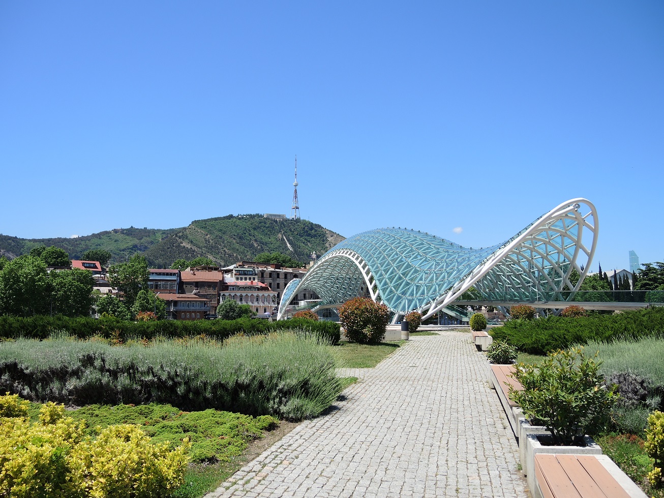 DSCN9338.JPG