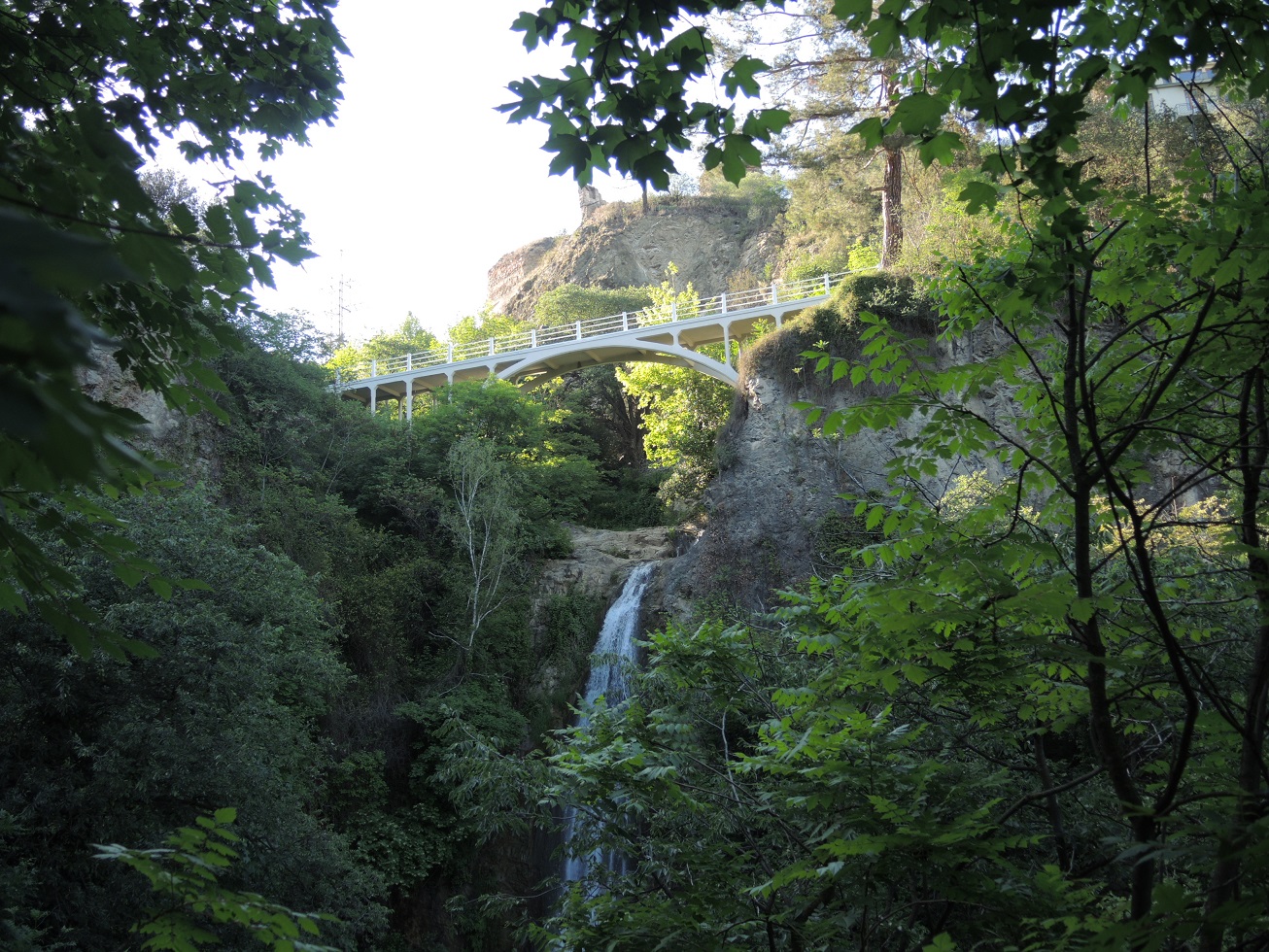 DSCN9435.JPG