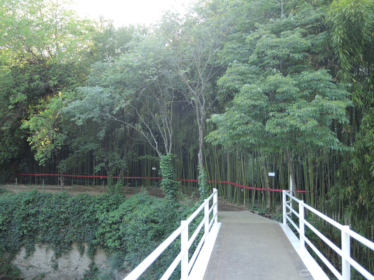 DSCN9441.JPG