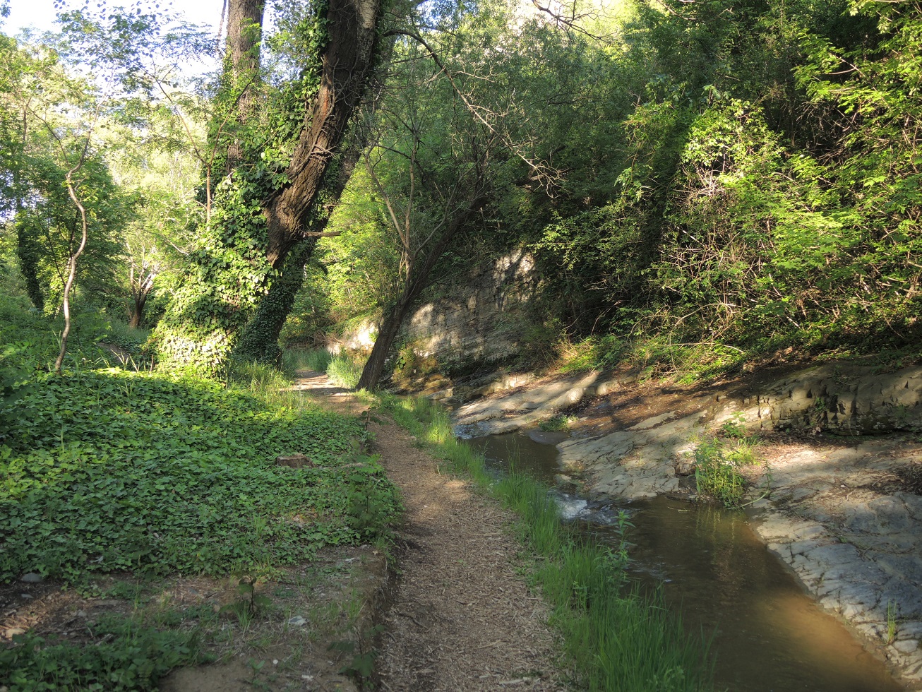 DSCN9450.JPG