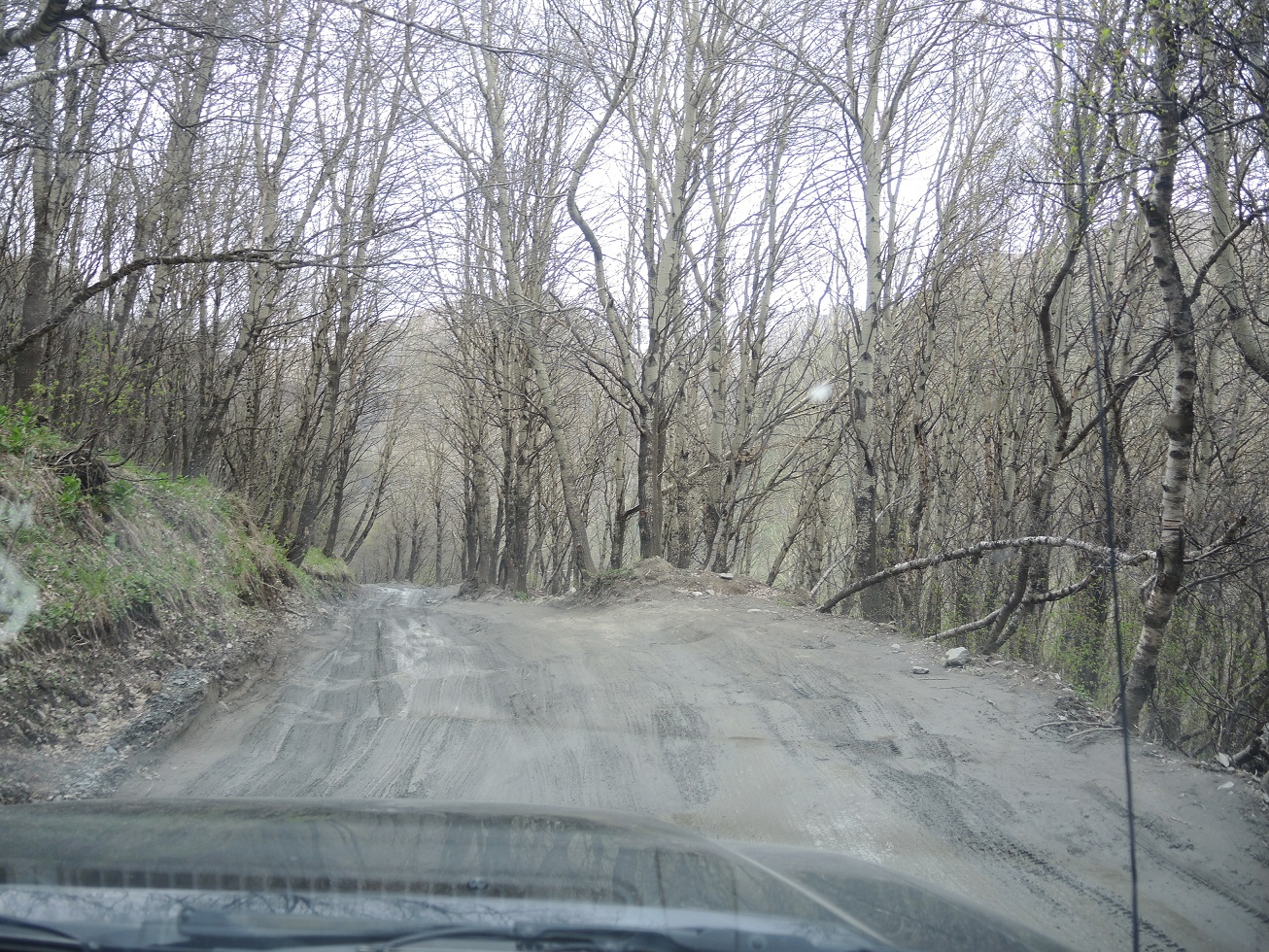 DSCN9578.JPG