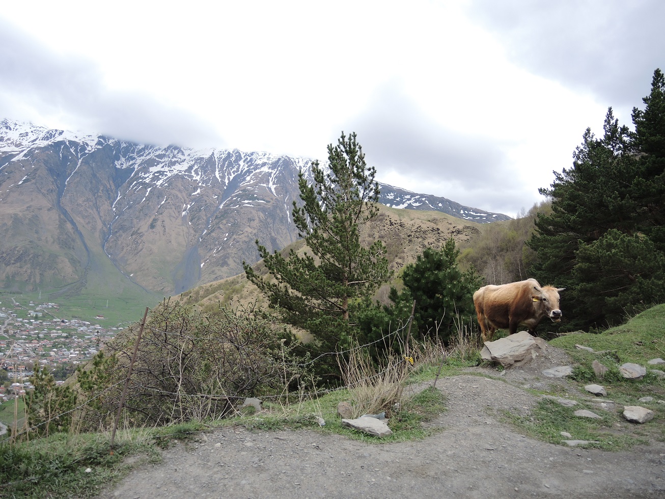 DSCN9625.JPG