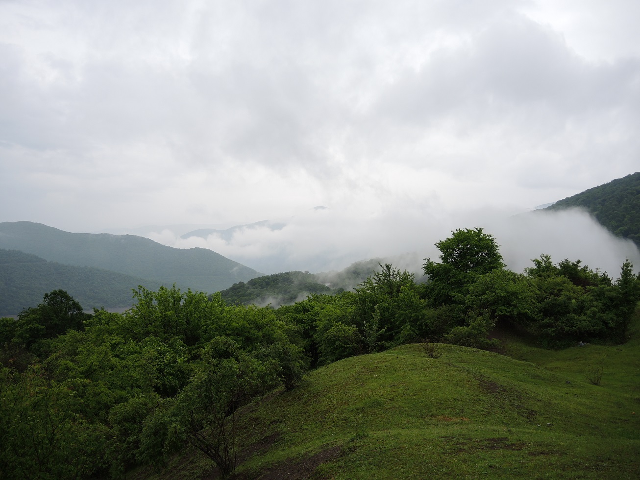 DSCN9633.JPG