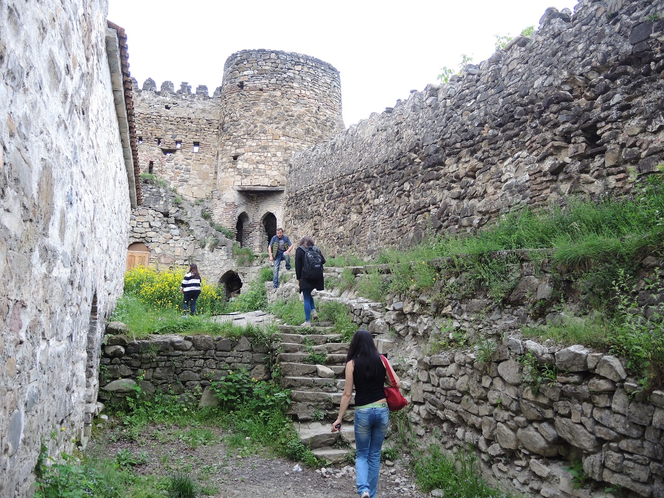 DSCN9519.JPG