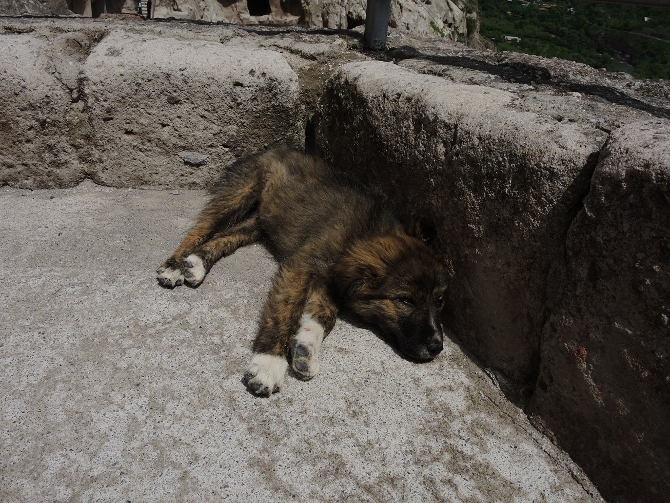 DSCN9728.JPG
