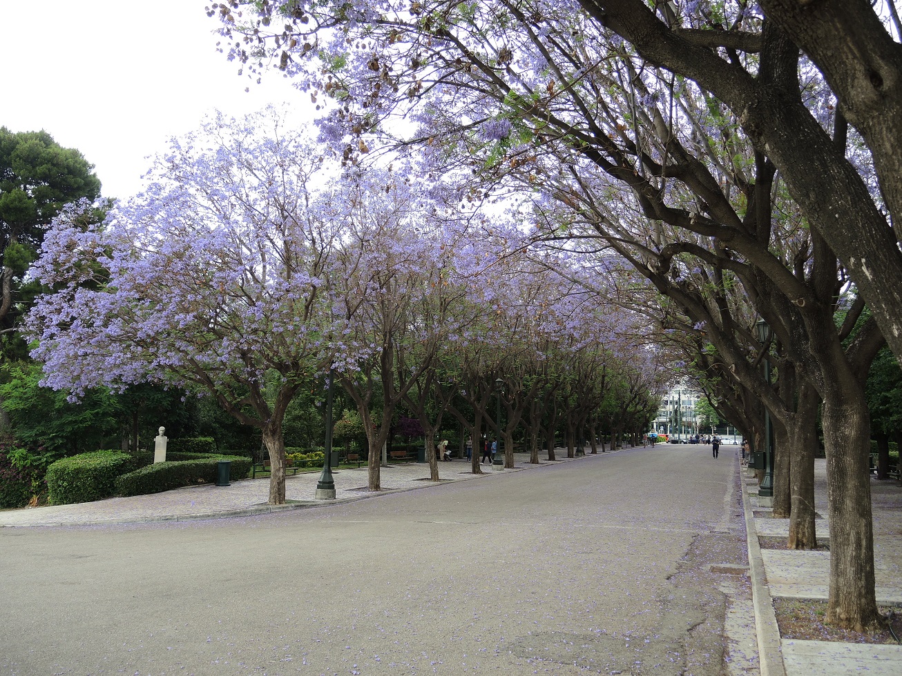 DSCN0050.JPG