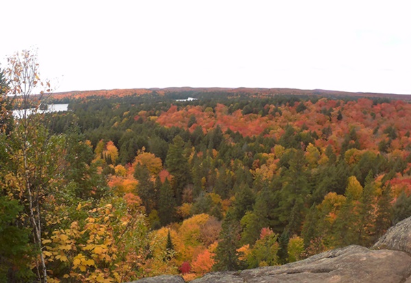 2016_1009_142210_001.JPG