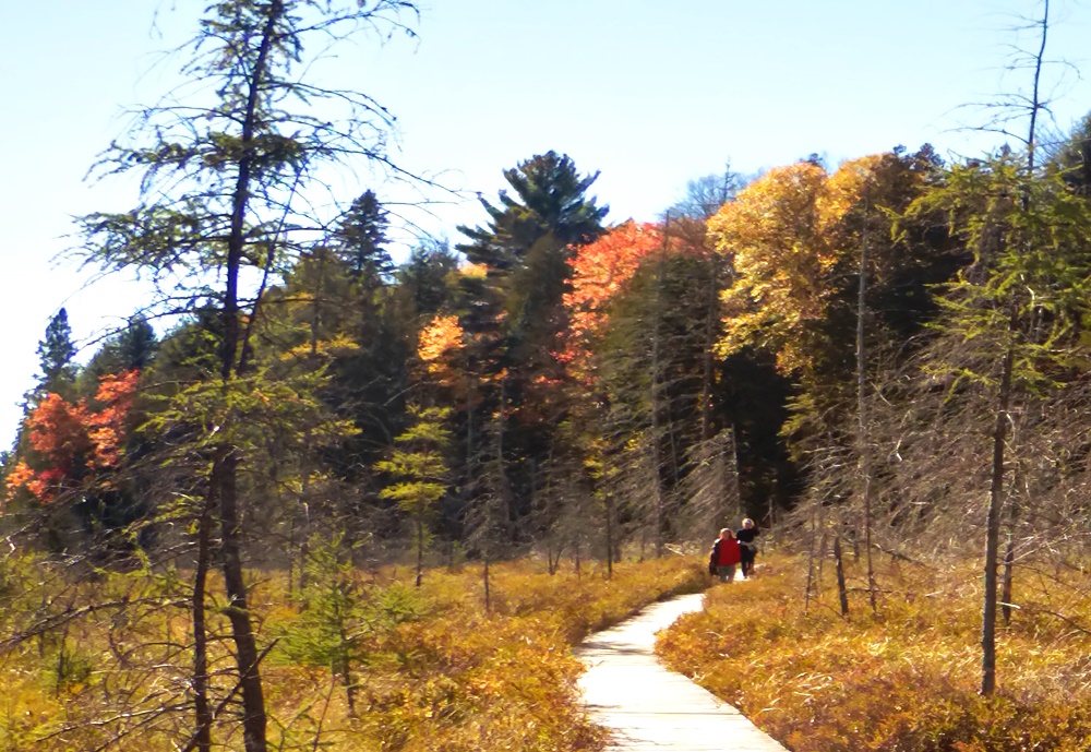 2016_1010_131418_024.JPG