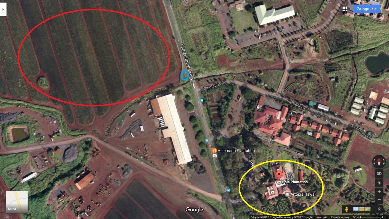 doleplantation1.jpg