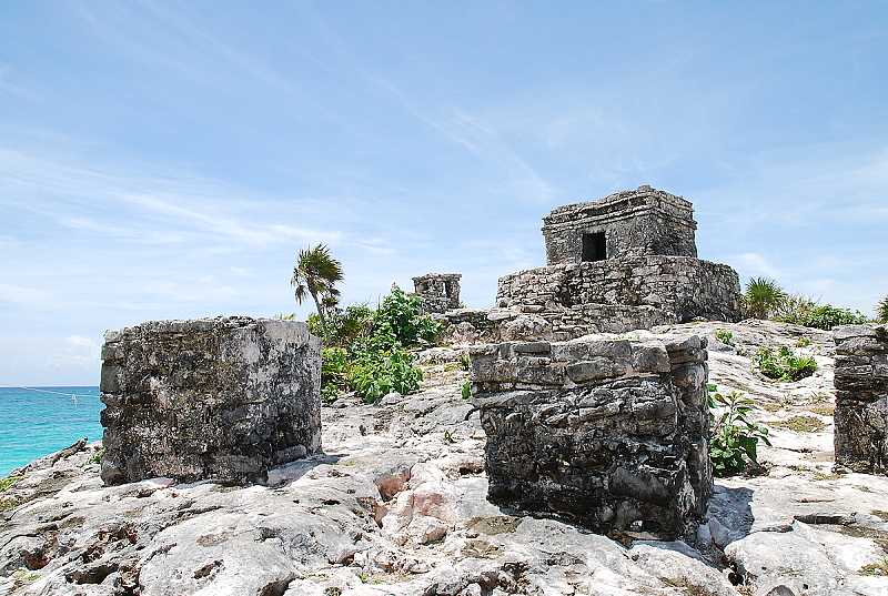 DSC_1429.JPG