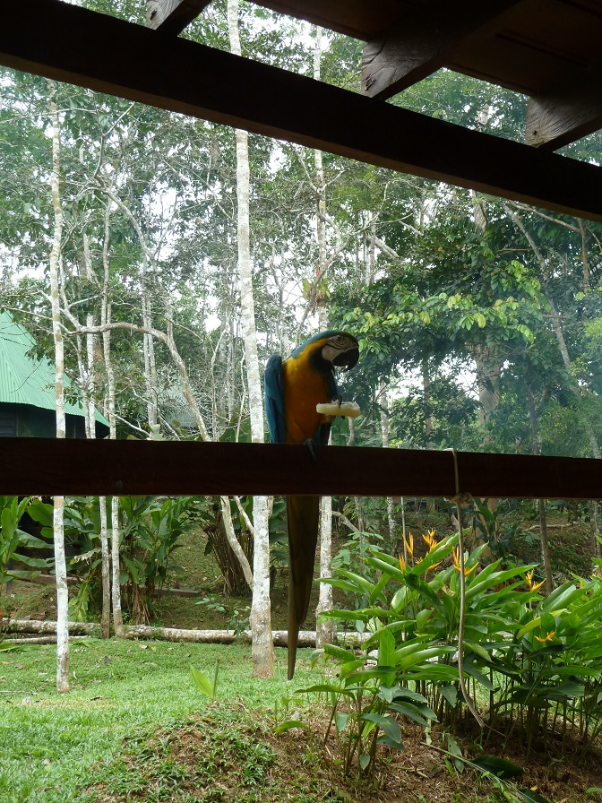 P1040224.JPG