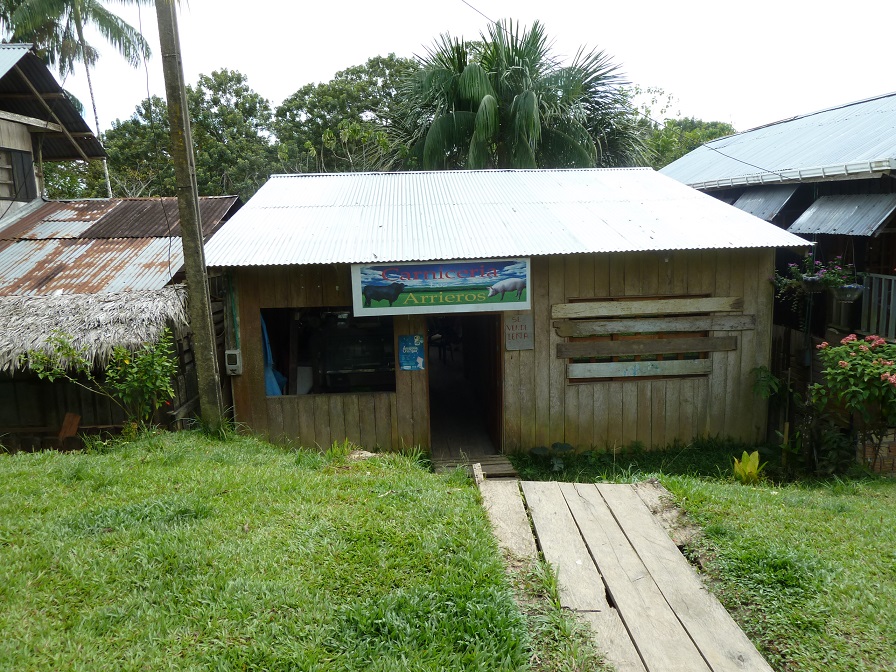 P1040233.JPG