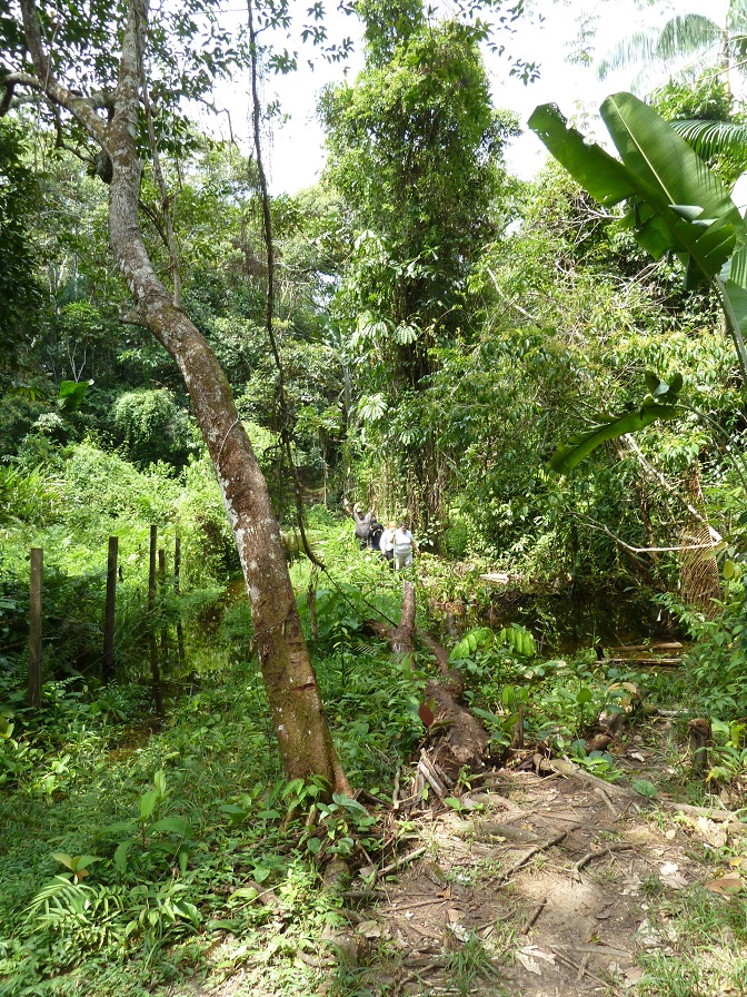 P1040258.JPG