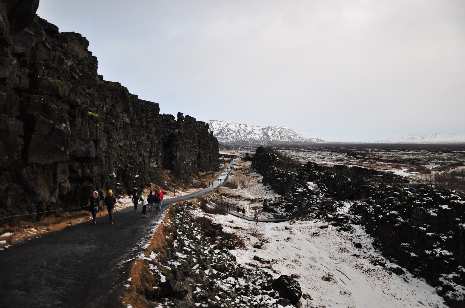 DSC_1066.JPG