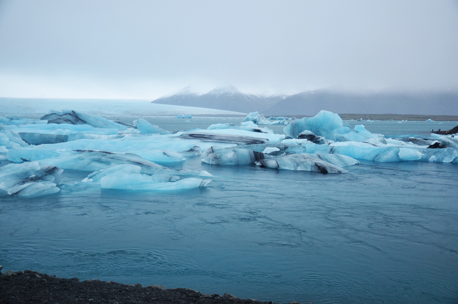DSC_1293.jpg
