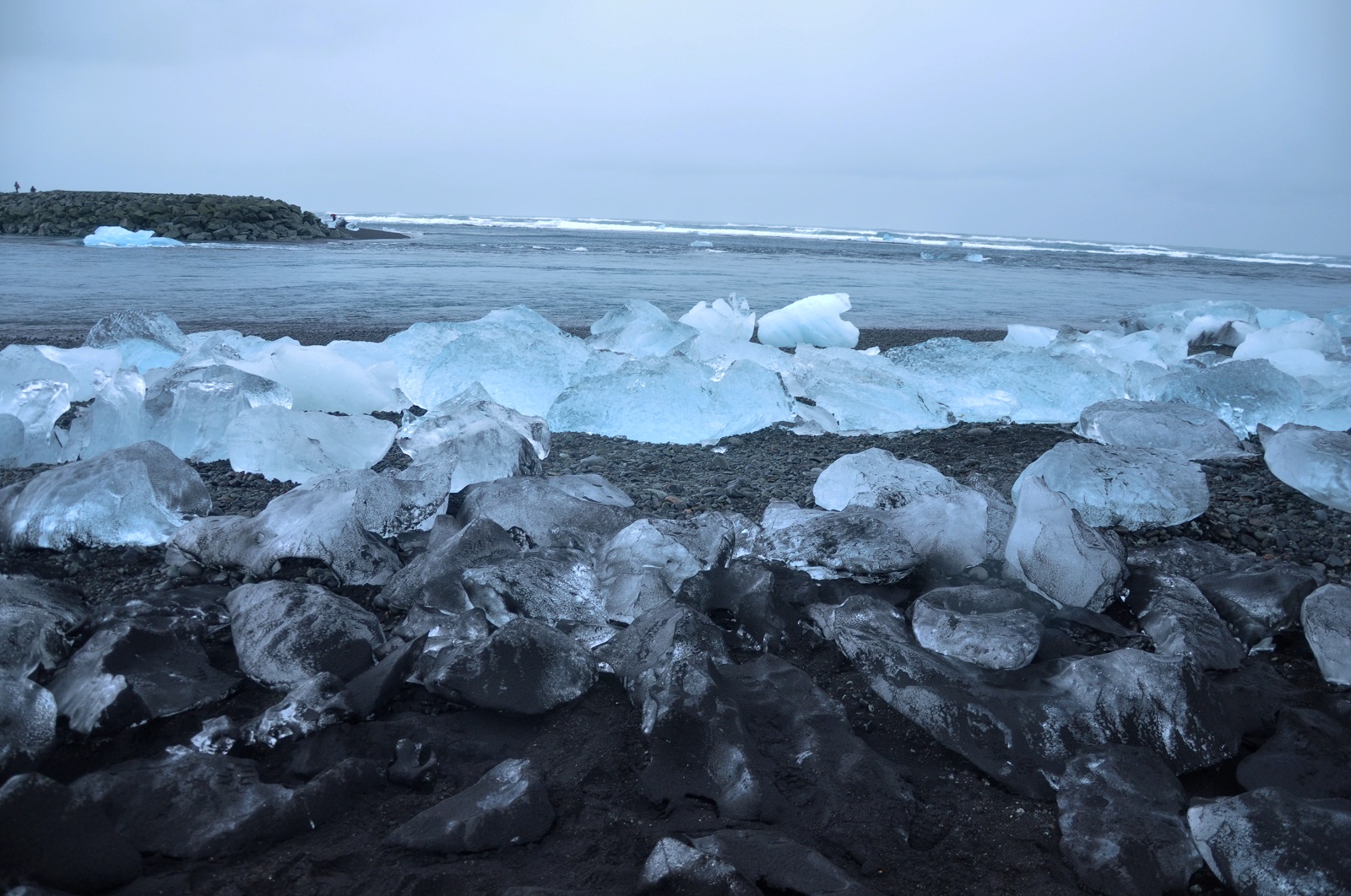 DSC_1312.jpg
