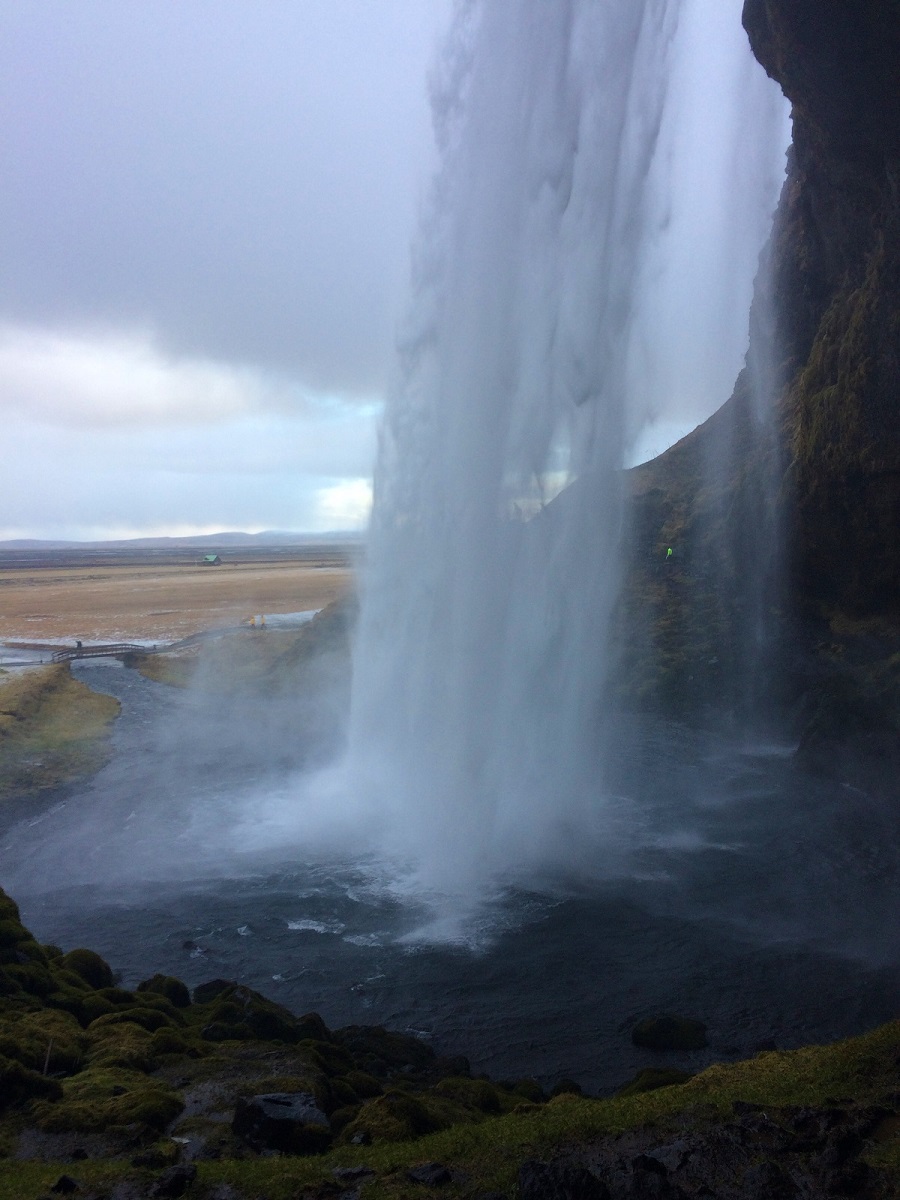 DSC_1423.jpg