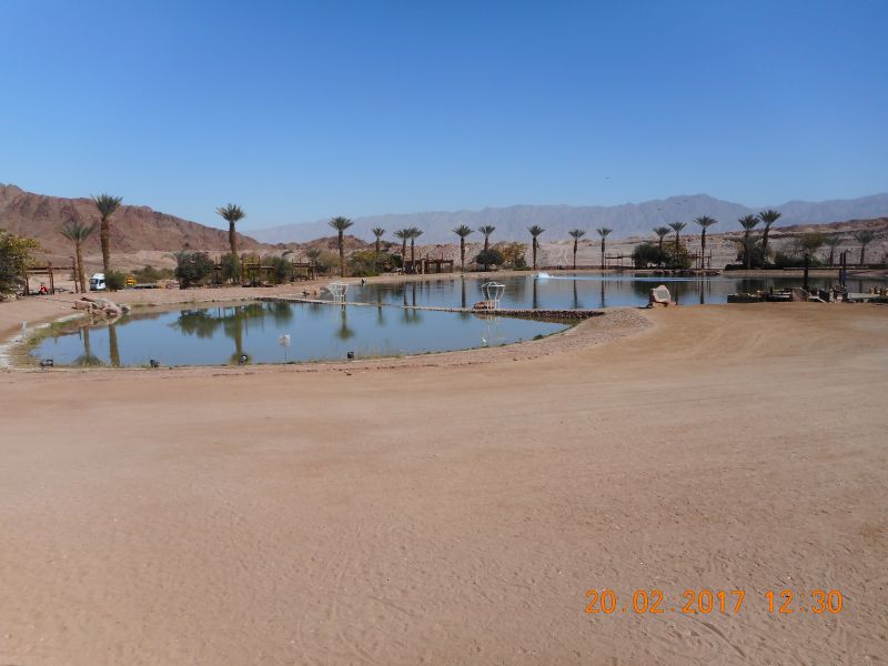 Timna Park - oaza.JPG