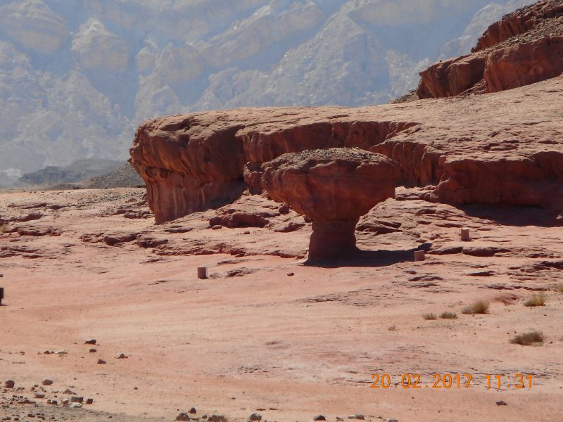 Timna Park - mushroom.jpg