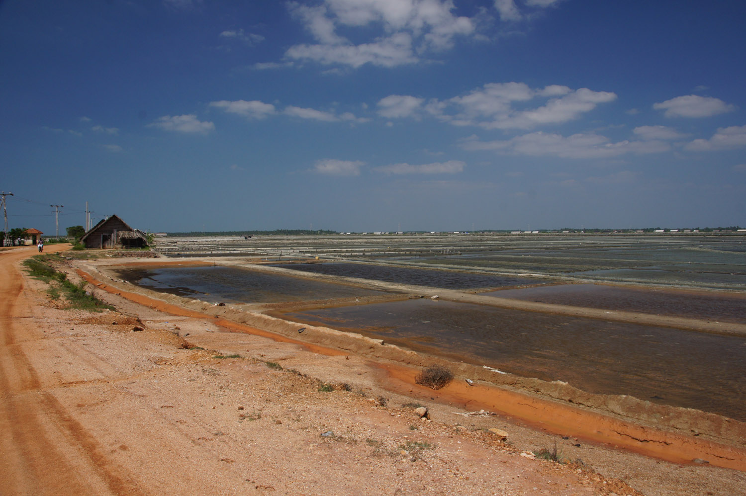 DSC01213.JPG